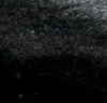 Schleiernessel, schwarz 347, B1 flammenhemmend, 170 cm breit