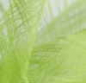 Preview: Deco Wave, green, 26 cm wide, 20 m