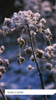 Snow Crystal Dekoposter, 80 x 140 cm