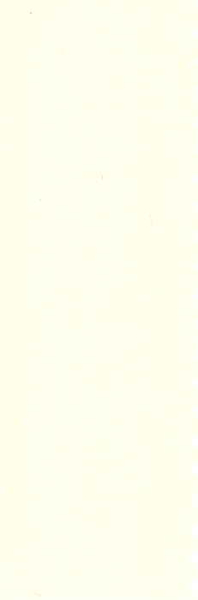 Light-Tex Beige B170-215g