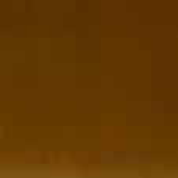 Foscusan Blackout, brown, ca. 300 cm wide
