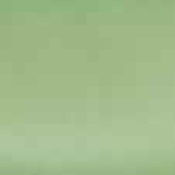 Foscusan Blackout, light green, ca. 300 cm wide